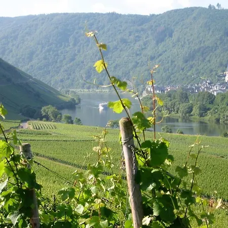 Gastehaus Weingut Arns Casa di campagna Reil