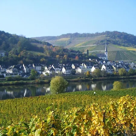 Gastehaus Weingut Arns Casa di campagna *